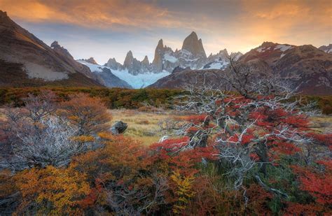 Autumn Image Argentina National Geographic Your Shot Photo Of The Day