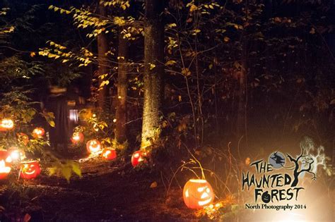 5 Spooky Attractions To Visit In Vermont This Halloween Best Of