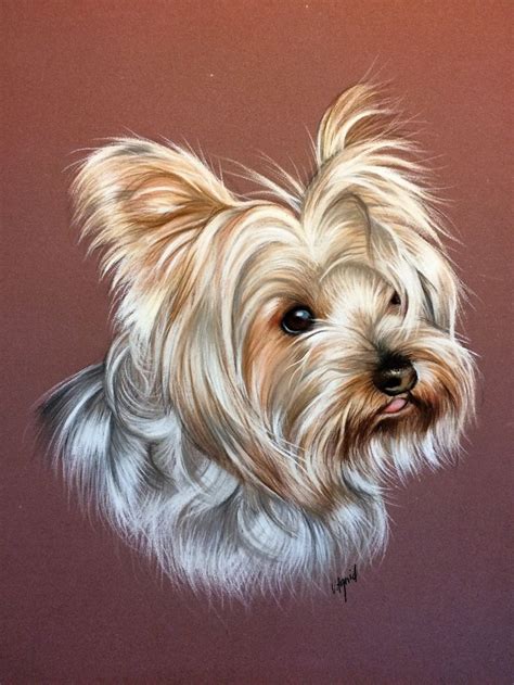 portrait de yorkshire au pastel dessin de chien peintures de chien portraits de chiens