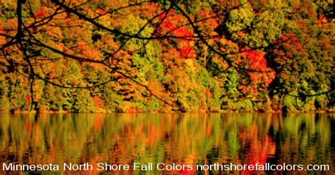 North Shore Fall Colors Fall Color And Bird Migration Reports For The