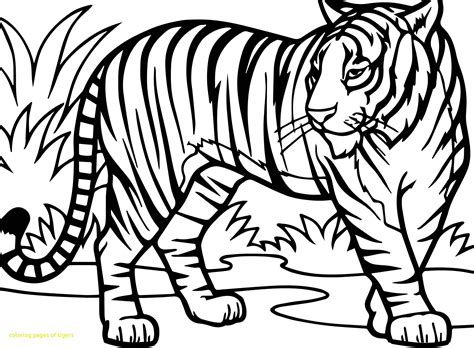 Free Printable Tiger Coloring Pages At Getdrawings Free Download