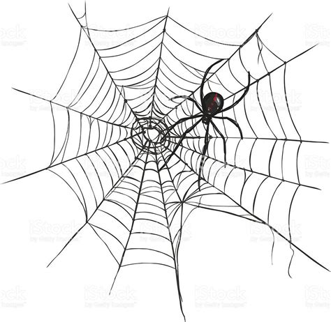 Vector Black Widow Spider On Spiders Web Royalty Free Stock Vector