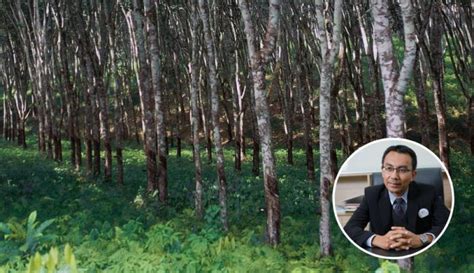 Pemaklum kematian yang dicatat di dokumen daftar kematian/permit adik beradik si mati. Elak Gaduh Adik-Beradik Tentang Pembahagian Tanah Pusaka ...