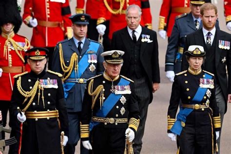 Rei Charles Iii Quer Impedir Que Harry E Andrew Atuem Em Seu Nome Mundo Diario De Pernambuco