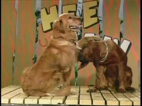 Hee Haw Roadhouse Beau Jr And Buddy The Wonder Dog Pfffft Facebook
