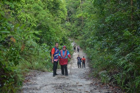 43, jalan besar 39000 tanah rata cameron highlands pahang abb : Bicara Mentari: MENDAKI BUKIT PANAU