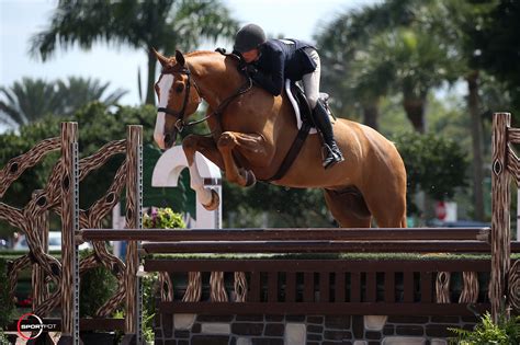 Week 9 In The Hunter Ring At Wef Jumper Nation