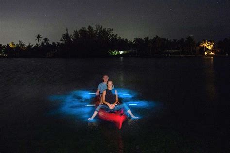 Bioluminescent Bay A Brush With Rare Aquatic Cosmos 80 Degrees Today