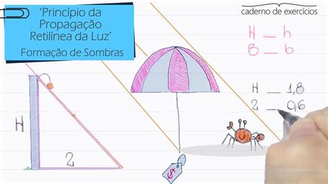 A Luz Se Propaga Em Linha Reta