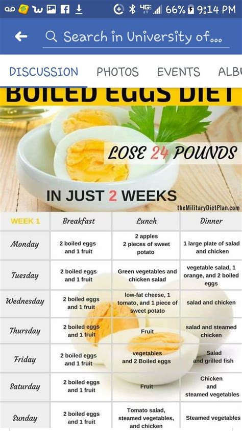 Maybe you would like to learn more about one of these? Pin by Maria A. Gall on DiEt PLANS | Breakfast lunch ...