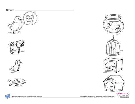 14 Best Images Of Pet Animals Worksheets For Kids Kenneth Cole Pet