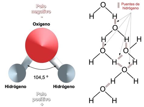 cuales son las propiedades fisicas y quimicas del agua El medio iónico y tampones página