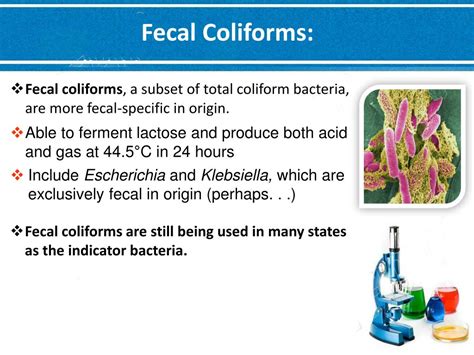 Ppt Lab 6 Enumeration Of Coliforms Fecal Coliforms And E Coli In