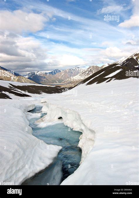 Winter Snow Begins Melting In Denali National Park And Preserve June