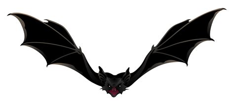 Bat PNG images free download png image