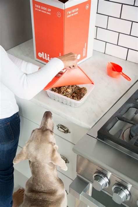 Every recipe is formulated by a veterinarian who specializes in pet. Ollie: New startup makes safe, healthy pet food - Business ...