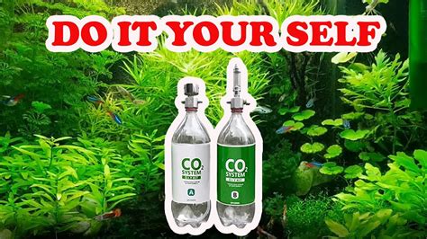 A wide variety of do it yourself printing options are available to you, such as usage, material, and feature. Do It Yourself CO2 Kit at Home| Baking Soda and Citric Acid|Tutorial - YouTube
