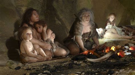 Early Humans Neanderthals Nude Pics Telegraph