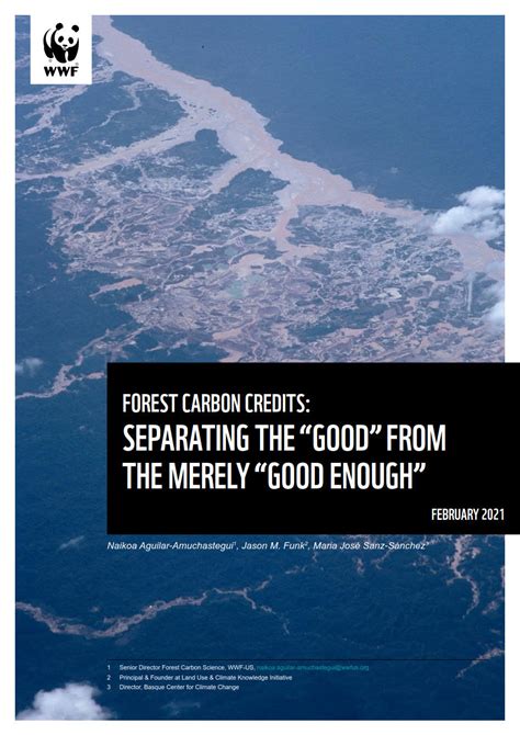 Forest Carbon Credits Separating The Good From The Merely Good