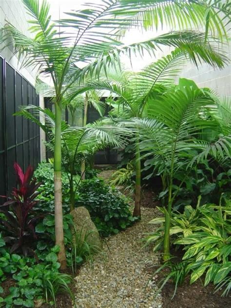 10 Awesome Ideas How To Craft Small Tropical Backyard Ideas Small