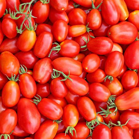 Umberto Tomato Solanum Lycopersicum Indeterminate Annies Heirloom