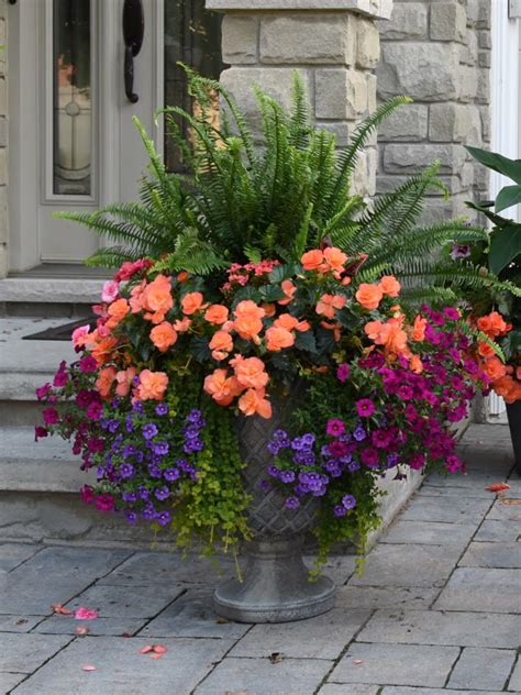 The main bloom season is midwinter, but small cacti suitable for pots have a huge following with collectors. Beautiful Tropical Front Entry Planter | Flower pots ...