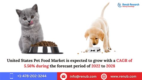 United State Pet Food Market To Be Usd 6241 Billion By 2028 Renub