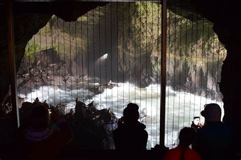 Sea Lion Caves Central Oregon Coast Oregon Discovery