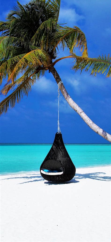 Maldives Islands Palm Tree Travel Samsung Galaxy S Iphone Wallpapers