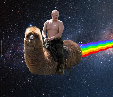 Putin Rides Memes To Be Showcased At Dundee Exhibition