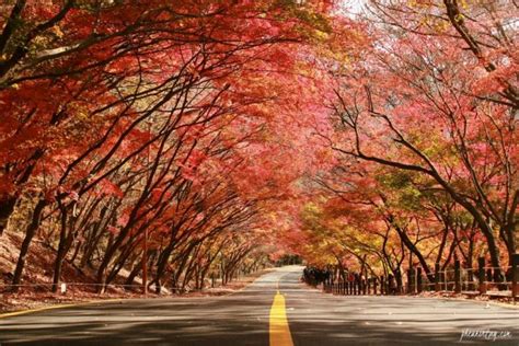 Jeju Autumn Itinerary — 6 Best Places To Visit And Top Things To Do In