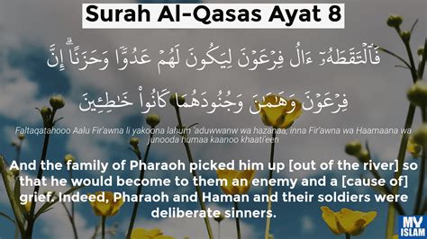 Surah Al Qasas Ayat 8 288 Quran With Tafsir My Islam