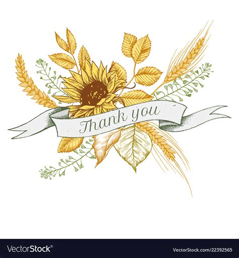 Ribbon Design Of Sunflower And Rye With Thank You Vector Image