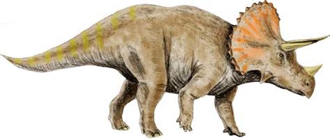 Triceratops Habitat Lifestyle Diet Science4fun