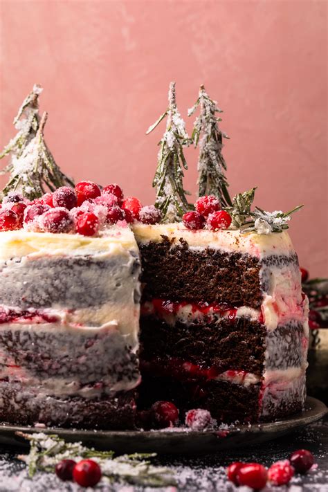 Chocolate Cranberry Christmas Cake Laptrinhx News