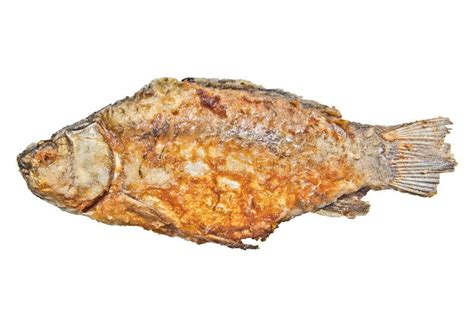 Fried Fish Isolated Fried Crucian On The White Background River Fish