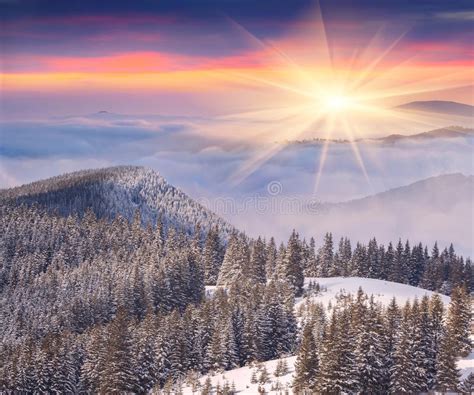 Beautiful Winter Sunrise In Mountains Stock Photo Image Of Mountain