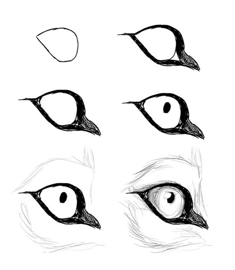 How To Draw A Dogs Eye Forcesurgery24