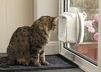 That means no collar is needed for your cat to wear other. SureFlap Microchip DualScan cat Door | Dog Doors, Cat ...
