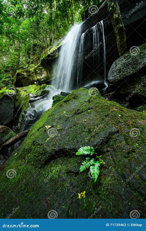 Deep Forest Waterfall Phu Kradueng National Park Thailand Stock Photo