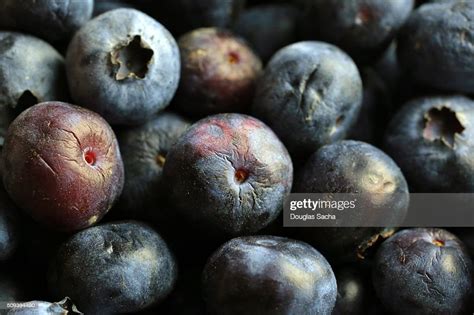 Rotten Berries High Res Stock Photo Getty Images