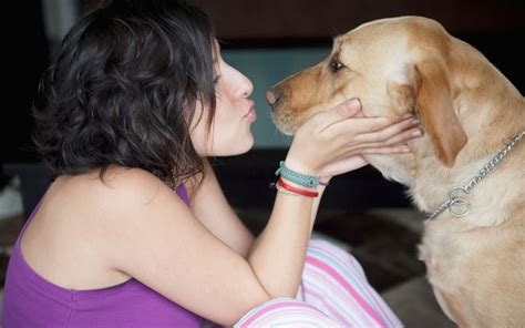 One In Ten Women Love Their Pet More Than Partner Service Animal