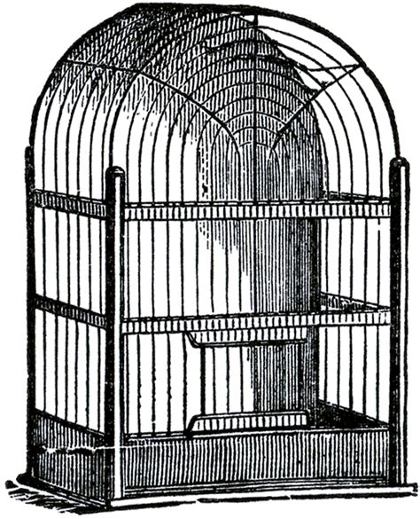 The animals are listed in alphabetical order. Dome Top Bird Cage Image - The Graphics Fairy
