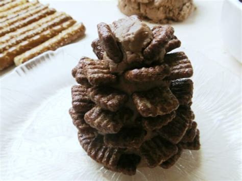 Snowy Chocolate Pine Cones Frugal Mom Eh