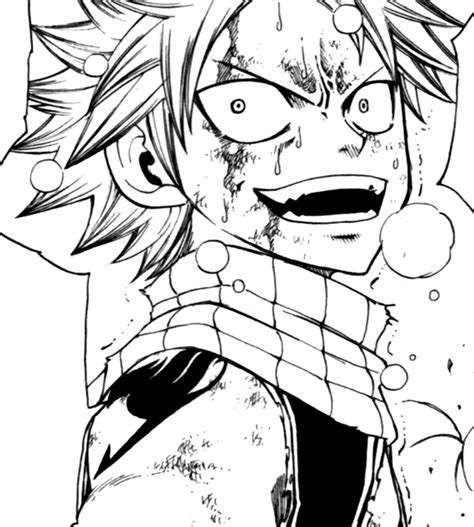 Fairy Tail Manga Volume 1 Review The Reviewers Corner