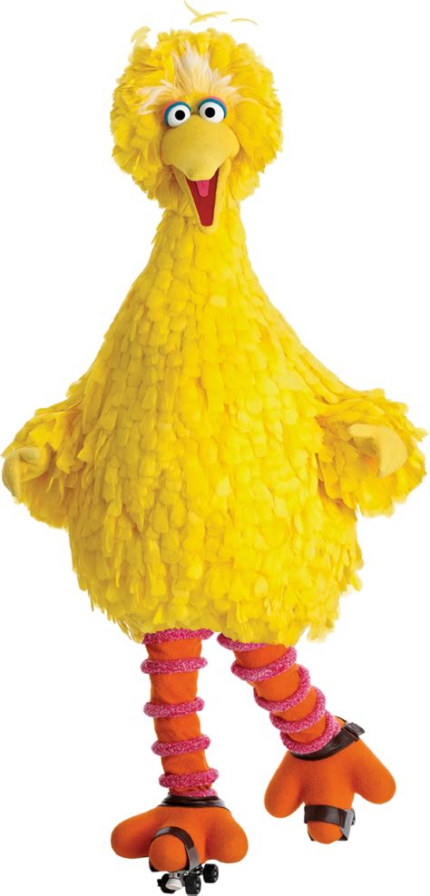 Big bird clipart 20 free Cliparts | Download images on Clipground 2020