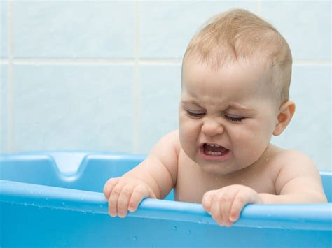 Put your hedgehog in the sink and give them a moment. How can I stop my 2-year-old from screaming every time I ...