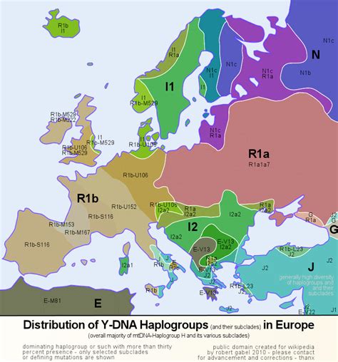The Distribution Of Y Dna Haplogroups In Europe By Region