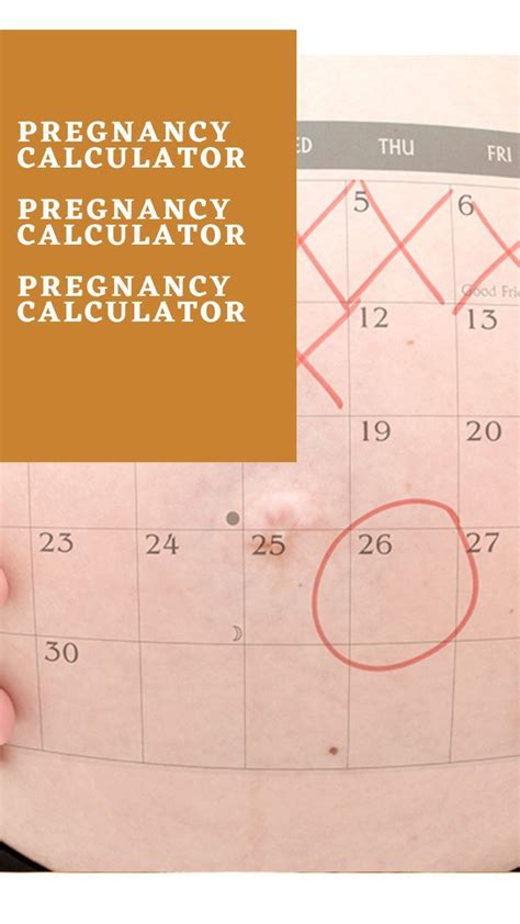 Menstrual Cycle Calculator Artofit