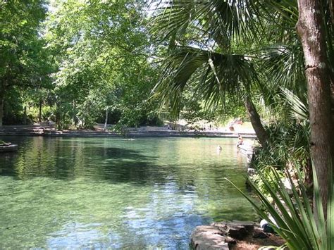 Wekiwa Springs In Orlando Florida The Most Beautiful